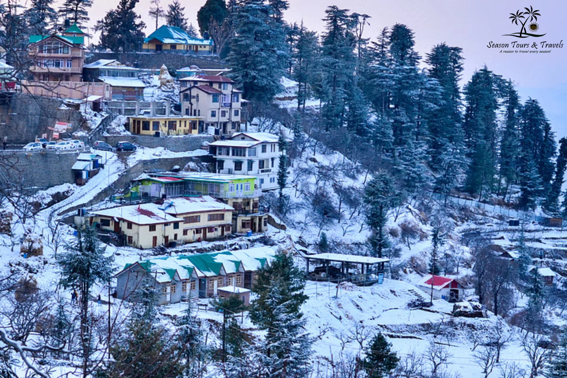 Shimla & Manali